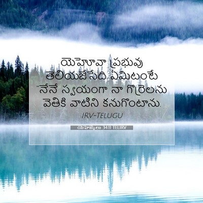 Picture 07 - యెహెజ్కేలు 34:11 TELIRV - యెహోవా ప్రభువు - Bible Verse Picture