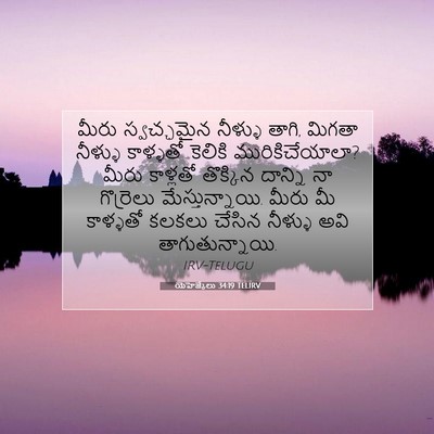 Picture 07 - యెహెజ్కేలు 34:19 TELIRV - మీరు స్వచ్ఛమైన - Bible Verse Picture