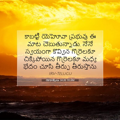 Picture 07 - యెహెజ్కేలు 34:20 TELIRV - కాబట్టి యెహోవా - Bible Verse Picture