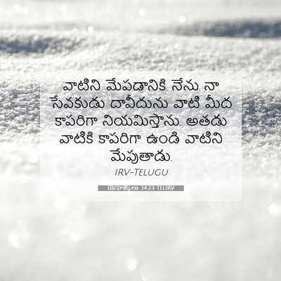 Picture 07 - యెహెజ్కేలు 34:23 TELIRV - వాటిని మేపడానికి - Bible Verse Picture