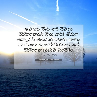 Picture 07 - యెహెజ్కేలు 34:30 TELIRV - అప్పుడు నేను వారి - Bible Verse Picture