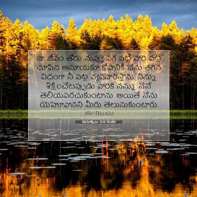 Picture 07 - యెహెజ్కేలు 35:11 TELIRV - నా జీవం తోడు - Bible Verse Picture