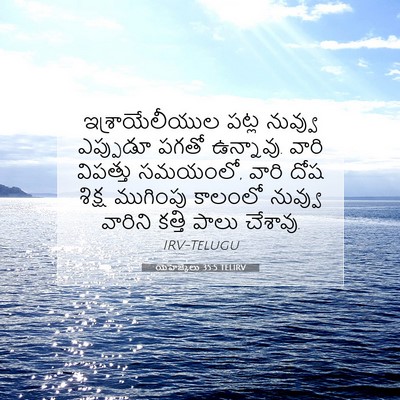 Picture 07 - యెహెజ్కేలు 35:5 TELIRV - ఇశ్రాయేలీయుల పట్ల - Bible Verse Picture