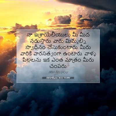 Picture 07 - యెహెజ్కేలు 36:12 TELIRV - నా ఇశ్రాయేలీయులు - Bible Verse Picture