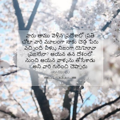 Picture 07 - యెహెజ్కేలు 36:20 TELIRV - వారు తాము వెళ్లిన - Bible Verse Picture