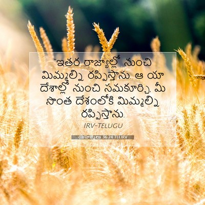 Picture 07 - యెహెజ్కేలు 36:24 TELIRV - “ఇతర రాజ్యాల్లో - Bible Verse Picture