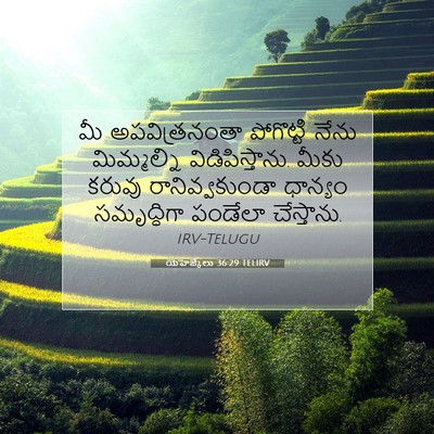 Picture 07 - యెహెజ్కేలు 36:29 TELIRV - మీ అపవిత్రనంతా - Bible Verse Picture