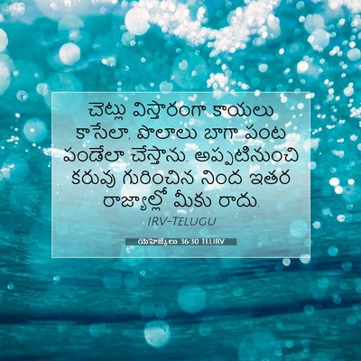 Picture 07 - యెహెజ్కేలు 36:30 TELIRV - చెట్లు విస్తారంగా - Bible Verse Picture