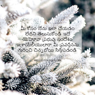 Picture 07 - యెహెజ్కేలు 36:32 TELIRV - మీ కోసం నేను ఇలా - Bible Verse Picture
