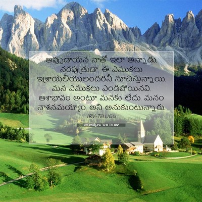 Picture 07 - యెహెజ్కేలు 37:11 TELIRV - అప్పుడాయన నాతో - Bible Verse Picture