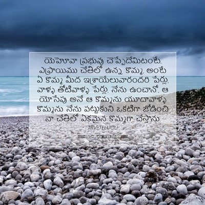Picture 07 - యెహెజ్కేలు 37:19 TELIRV - యెహోవా ప్రభువు - Bible Verse Picture