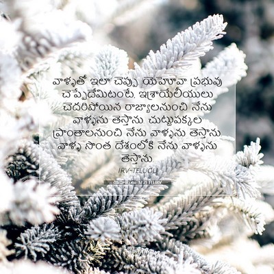Picture 07 - యెహెజ్కేలు 37:21 TELIRV - వాళ్ళతో ఇలా - Bible Verse Picture