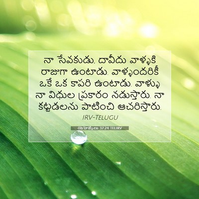 Picture 07 - యెహెజ్కేలు 37:24 TELIRV - నా సేవకుడు, దావీదు - Bible Verse Picture