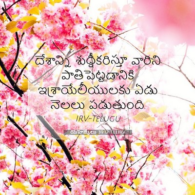 Picture 07 - యెహెజ్కేలు 39:12 TELIRV - దేశాన్ని - Bible Verse Picture