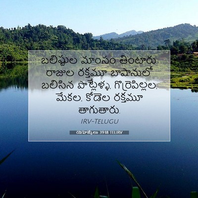 Picture 07 - యెహెజ్కేలు 39:18 TELIRV - బలిష్టుల మాంసం - Bible Verse Picture