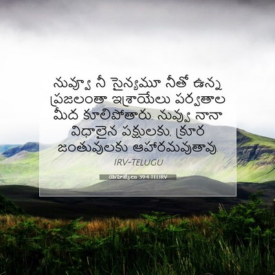 Picture 07 - యెహెజ్కేలు 39:4 TELIRV - నువ్వూ నీ సైన్యమూ - Bible Verse Picture