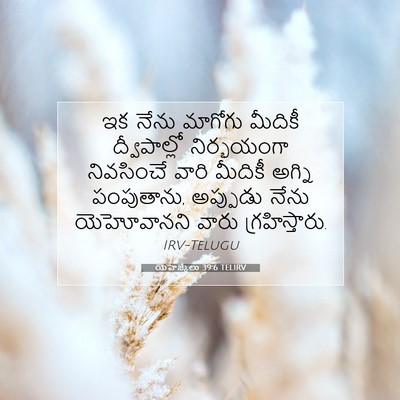 Picture 07 - యెహెజ్కేలు 39:6 TELIRV - ఇక నేను మాగోగు - Bible Verse Picture