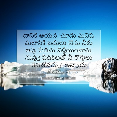 Picture 07 - యెహెజ్కేలు 4:15 TELIRV - దానికి ఆయన “చూడు - Bible Verse Picture