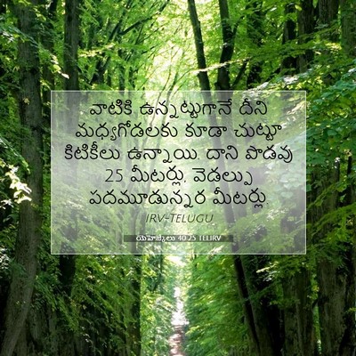 Picture 07 - యెహెజ్కేలు 40:25 TELIRV - వాటికి - Bible Verse Picture