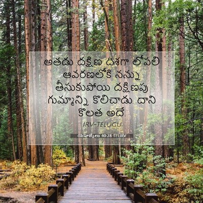 Picture 07 - యెహెజ్కేలు 40:28 TELIRV - అతడు దక్షిణ దిశగా - Bible Verse Picture