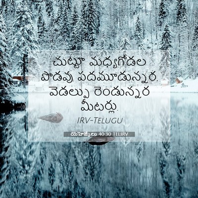 Picture 07 - యెహెజ్కేలు 40:30 TELIRV - చుట్టూ మధ్యగోడల - Bible Verse Picture