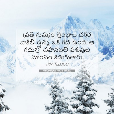 Picture 07 - యెహెజ్కేలు 40:38 TELIRV - ప్రతి గుమ్మం - Bible Verse Picture