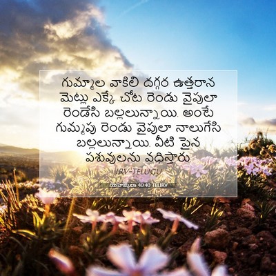 Picture 07 - యెహెజ్కేలు 40:40 TELIRV - గుమ్మాల వాకిలి - Bible Verse Picture
