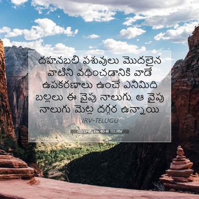 Picture 07 - యెహెజ్కేలు 40:41 TELIRV - దహనబలి పశువులు - Bible Verse Picture