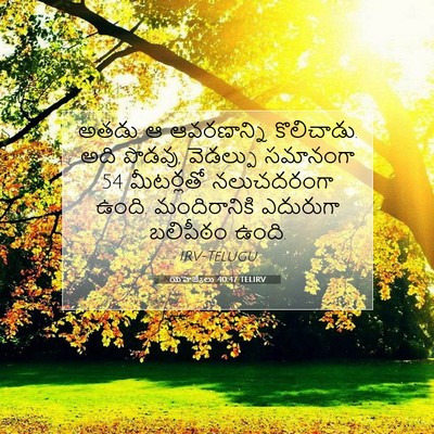 Picture 07 - యెహెజ్కేలు 40:47 TELIRV - అతడు ఆ ఆవరణాన్ని - Bible Verse Picture