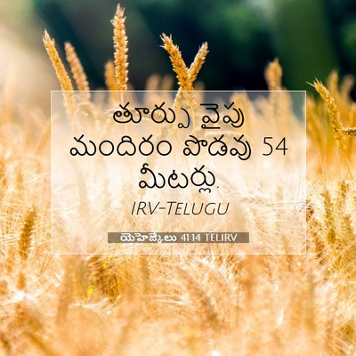 Picture 07 - యెహెజ్కేలు 41:14 TELIRV - తూర్పు వైపు - Bible Verse Picture
