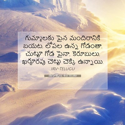 Picture 07 - యెహెజ్కేలు 41:17 TELIRV - గుమ్మాలకు పైన - Bible Verse Picture
