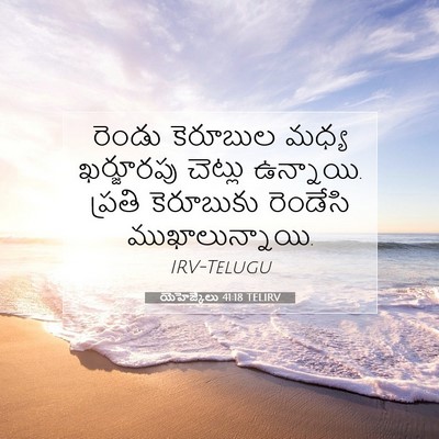 Picture 07 - యెహెజ్కేలు 41:18 TELIRV - రెండు కెరూబుల - Bible Verse Picture