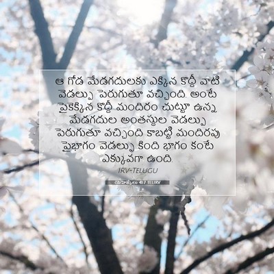 Picture 07 - యెహెజ్కేలు 41:7 TELIRV - ఆ గోడ మేడగదులకు - Bible Verse Picture