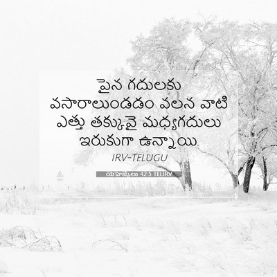 Picture 07 - యెహెజ్కేలు 42:5 TELIRV - పైన గదులకు - Bible Verse Picture