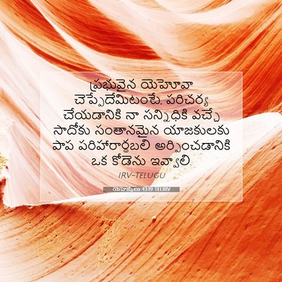 Picture 07 - యెహెజ్కేలు 43:19 TELIRV - ప్రభువైన యెహోవా - Bible Verse Picture