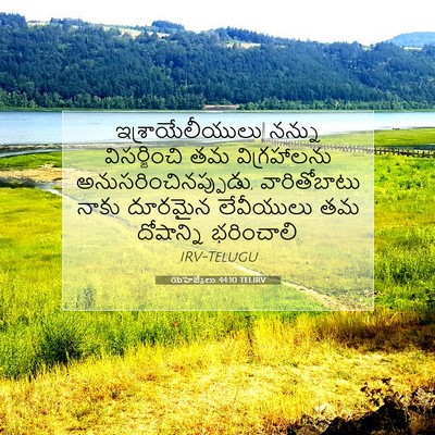 Picture 07 - యెహెజ్కేలు 44:10 TELIRV - ఇశ్రాయేలీయులు - Bible Verse Picture