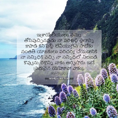 Picture 07 - యెహెజ్కేలు 44:15 TELIRV - ఇశ్రాయేలీయులు - Bible Verse Picture