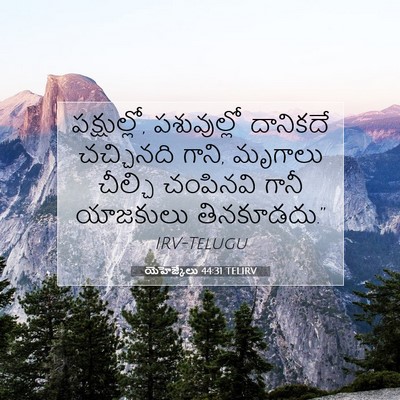 Picture 07 - యెహెజ్కేలు 44:31 TELIRV - పక్షుల్లో, - Bible Verse Picture