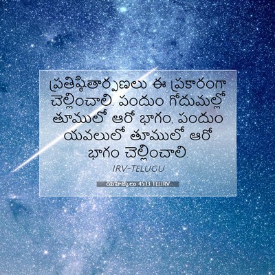 Picture 07 - యెహెజ్కేలు 45:13 TELIRV -  - Bible Verse Picture