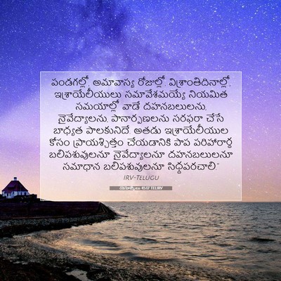 Picture 07 - యెహెజ్కేలు 45:17 TELIRV - పండగల్లో, - Bible Verse Picture