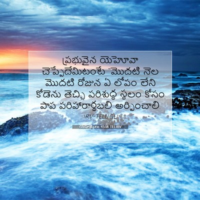 Picture 07 - యెహెజ్కేలు 45:18 TELIRV - ప్రభువైన యెహోవా - Bible Verse Picture