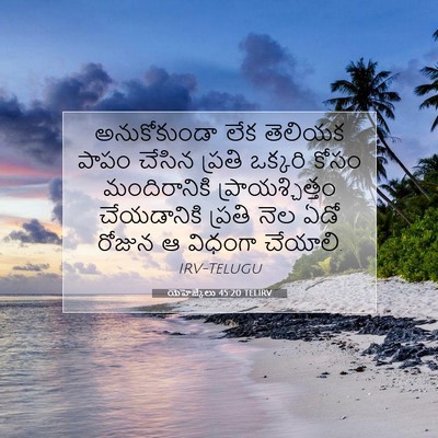 Picture 07 - యెహెజ్కేలు 45:20 TELIRV - అనుకోకుండా లేక - Bible Verse Picture