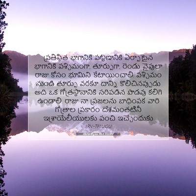 Picture 07 - యెహెజ్కేలు 45:7 TELIRV - ప్రతిష్ఠిత - Bible Verse Picture