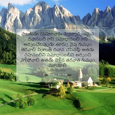 Picture 07 - యెహెజ్కేలు 46:12 TELIRV - పాలకుడు యెహోవాకు - Bible Verse Picture