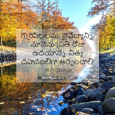 Picture 07 - యెహెజ్కేలు 46:15 TELIRV - గొర్రెపిల్లలను, - Bible Verse Picture