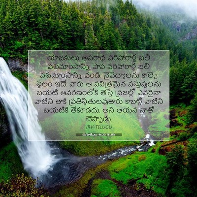 Picture 07 - యెహెజ్కేలు 46:20 TELIRV - యాజకులు అపరాధ - Bible Verse Picture