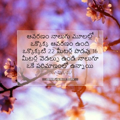 Picture 07 - యెహెజ్కేలు 46:22 TELIRV - ఆవరణం నాలుగు - Bible Verse Picture