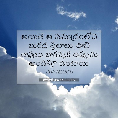 Picture 07 - యెహెజ్కేలు 47:11 TELIRV - అయితే ఆ - Bible Verse Picture