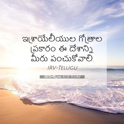 Picture 07 - యెహెజ్కేలు 47:21 TELIRV - ఇశ్రాయేలీయుల - Bible Verse Picture