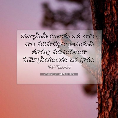 Picture 07 - యెహెజ్కేలు 48:24 TELIRV - బెన్యామీనీయులకు - Bible Verse Picture